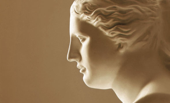 聖帝維娜品牌命名